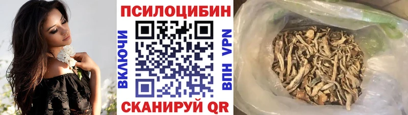 Галлюциногенные грибы Psilocybe Нижний Ломов
